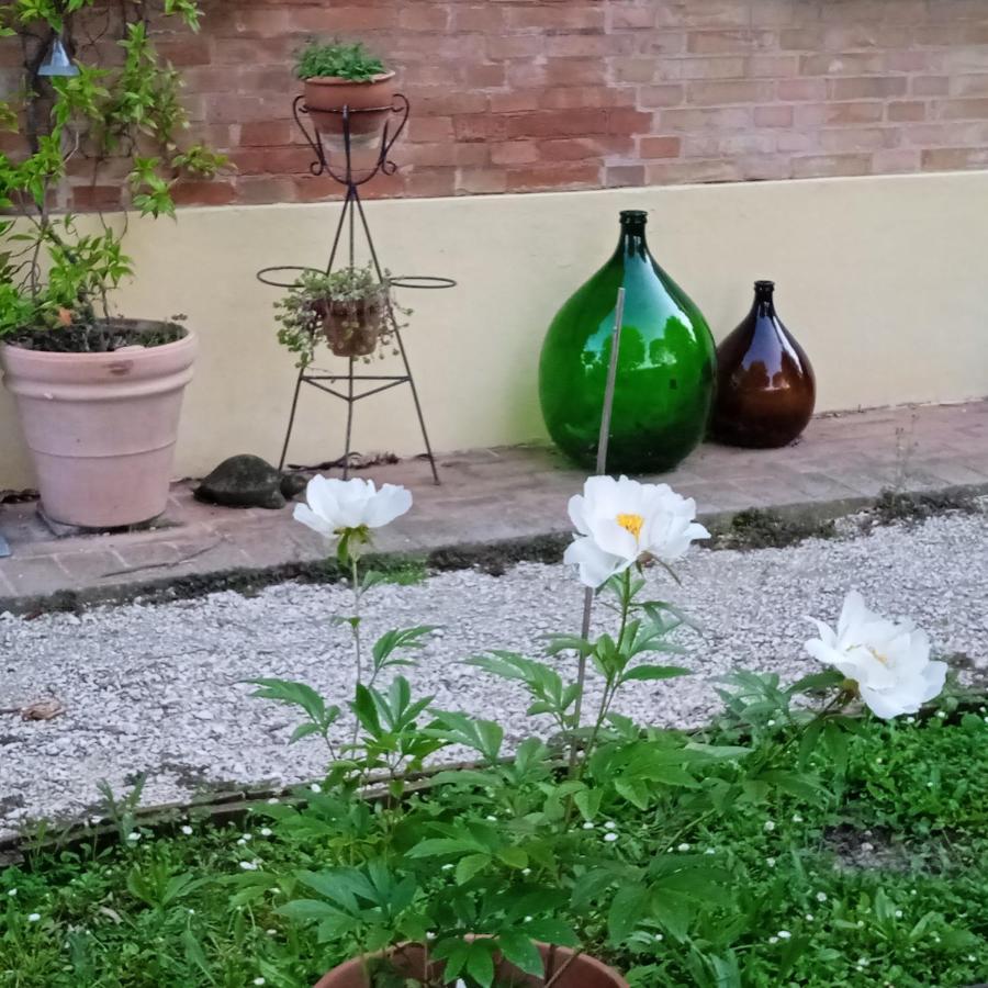 B&B Marana 14 Casa Di Campagna Bologna Exteriör bild